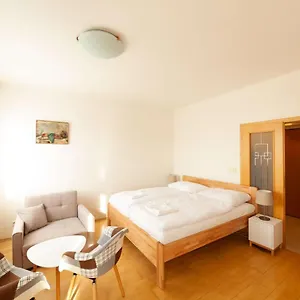 vitkov-park-apartment.praguehotelsweb.com/